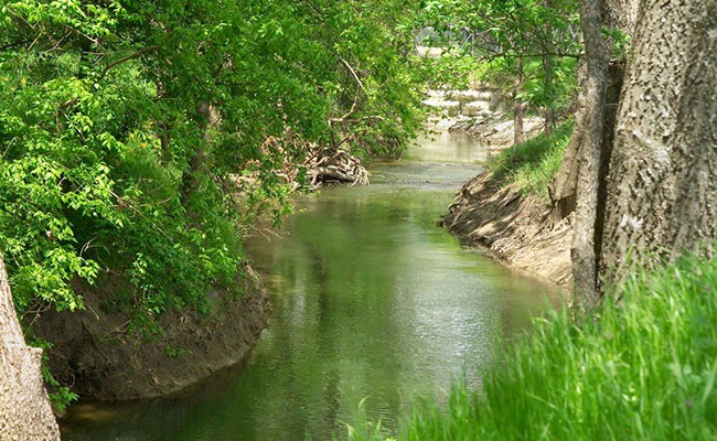 Beautiful wood-lined creek